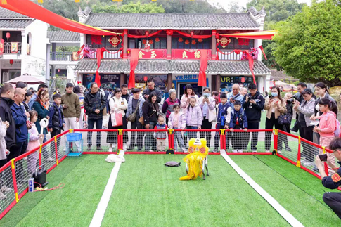 7南海景区再现总台《机器人过大年》活动.jpg