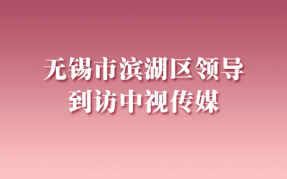 无锡市滨湖区领导到访中视传媒